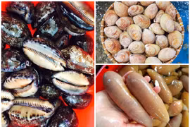 3 đặc sản nghe tên “đỏ chín mặt” được dân phố lùng mua