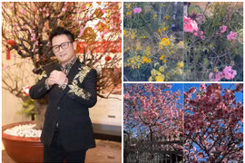 Cận cảnh biệt thự rực sắc hoa của Bằng Kiều