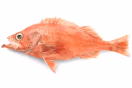 5 loại cá bán đầy chợ, rẻ đến mấy cũng không nên mua 