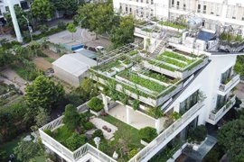 Ngắm vườn rau 300m2 phủ kín nóc biệt thự giữa Hà Nội