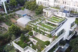 Ngắm vườn rau 300m2 phủ kín nóc biệt thự giữa Hà Nội