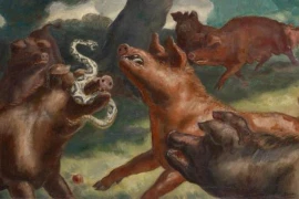 Vì sao rắn độc không giết được lợn? 