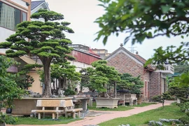 Chân dung đại gia Hà Nội quyết bán nhà để mua cây cảnh 