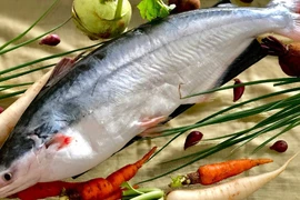 Cá “đại gia” nức tiếng Nam Bộ đắt cỡ nào? 