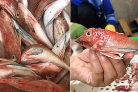 Tá hỏa những đặc sản bị làm giả trên mâm cơm người Việt