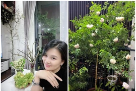 Căn nhà rực rỡ sắc hoa của cựu hoa khôi bóng chuyền Kim Huệ