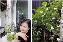 Căn nhà rực rỡ sắc hoa của cựu hoa khôi bóng chuyền Kim Huệ