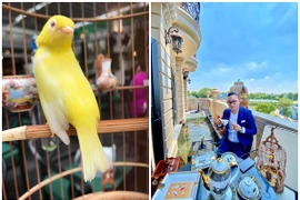 Đại gia Hà thành “ném” tiền tỷ chơi chim, cá cảnh là ai?