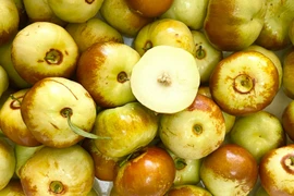 Đắt hơn bò Mỹ, hồng táo dẹt siêu lạ vẫn “cháy hàng“