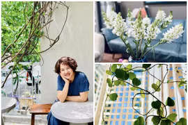 Bên trong căn nhà rực rỡ sắc hoa của MC Diễm Quỳnh