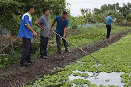 Nuôi ốc bươu đen, ông nông dân Tây Ninh thu 10 triệu đồng/tháng