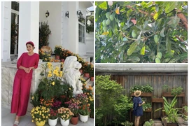 Ngắm biệt thự sân vườn ngập cây trái của Tăng Thanh Hà 