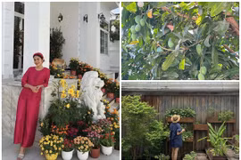 Ngắm biệt thự sân vườn ngập cây trái của Tăng Thanh Hà 