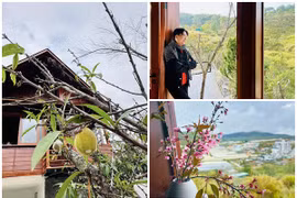 Bên trong nhà mới giữa rừng ngập hoa cỏ của MC Đại Nghĩa 