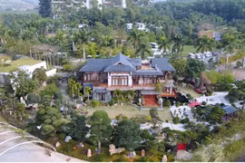 Trầm trồ vườn cổ thụ trăm tuổi trong biệt thự 3.000m2 ở Vĩnh Phúc