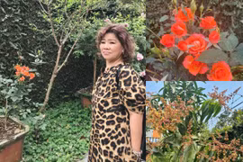 Khu vườn ngập sắc hương trong biệt thự 1.000m2 của NSND Thanh Hoa