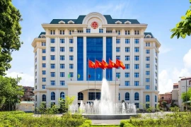 Cục Thuế tạm dừng giải quyết chính sách cho người nghỉ hưu trước tuổi