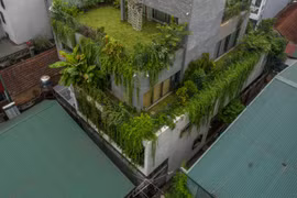 Chiêm ngưỡng nhà 4 tầng được bao bọc bởi rừng cây giữa Hà Nội 