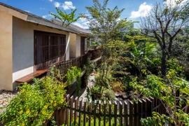 Mê mẩn biệt thự “ngợp trời” cây lá ở Buôn Ma Thuột