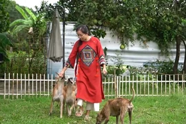 Nữ dược sĩ sở hữu trang trại chó Phú Quốc bạc tỷ 