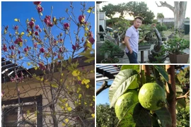 Có gì trong biệt thự nhà vườn 2.000m2 của Bằng Kiều ở Mỹ?