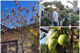 Có gì trong biệt thự nhà vườn 2.000m2 của Bằng Kiều ở Mỹ?