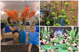 Lộ không gian sống ngập hoa tươi của diễn viên Mạnh Trường 