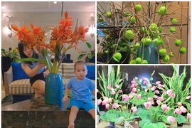 Lộ không gian sống ngập hoa tươi của diễn viên Mạnh Trường 