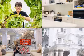 Cận cảnh căn biệt thự đẹp như cung điện của MC Đại Nghĩa