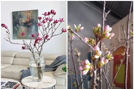 Hoa nhập khẩu giá rẻ hút khách chơi Tết 2025