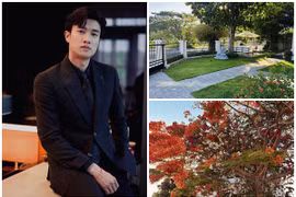 Biệt thự rực sắc hoa đẹp mê mẩn của diễn viên Quốc Trường