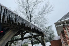 Khu vườn đẹp mê hoặc trong biệt thự của Hồng Ngọc ở Mỹ