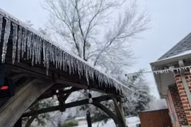 Khu vườn đẹp mê hoặc trong biệt thự của Hồng Ngọc ở Mỹ