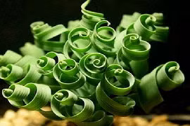 Mê mẩn 10 cây cảnh trang trí nhà hình dáng siêu độc