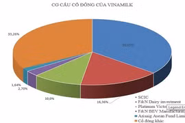 Tỷ phú mua Sabeo sắp có thương vụ khủng mới tại Việt Nam