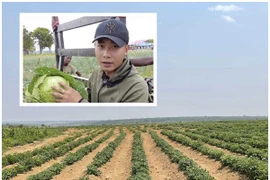 Nông trại 14ha của Quang Linh Vlogs tại Châu Phi