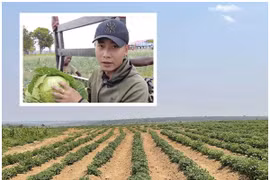 Nông trại 14ha của Quang Linh Vlogs tại Châu Phi