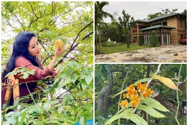 Bên trong nhà vườn “đi mỏi chân” của nghệ sĩ Thanh Thanh Hiền