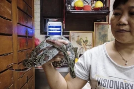 Vì sao người Trung Quốc thích ăn đồ tái sống