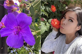 Vườn hoa đẹp ngẩn ngơ trong biệt thự 1.600 tỷ của Bích Tuyền 