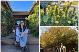 Khu vườn đẹp như quán cà phê của Dương Mỹ Linh tại Mỹ