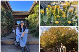 Khu vườn đẹp như quán cà phê của Dương Mỹ Linh tại Mỹ