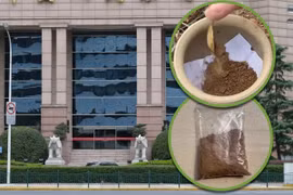 Đổ xô đào “đất ngân hàng” bán 3 triệu đồng một túi