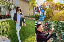 Hồng Đào sở hữu biệt thự sân vườn ngập hoa trái ở Mỹ