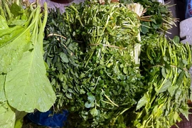 Mưa rét kéo dài, giá rau xanh tại Hà Nội đồng loạt tăng cao