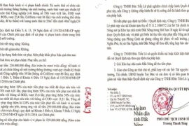 Công ty Đức Tiến Lê bị xử phạt 529 triệu đồng vì xả thải ra môi trường