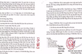 Công ty Đức Tiến Lê bị xử phạt 529 triệu đồng vì xả thải ra môi trường