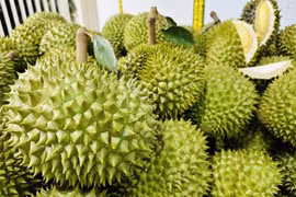 Sự thật sầu riêng giá chỉ 49.000 đồng/kg, bơ đặc sản rẻ hiếm thấy 