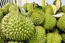 Sự thật sầu riêng giá chỉ 49.000 đồng/kg, bơ đặc sản rẻ hiếm thấy 