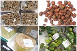 Những thứ ở Việt Nam “cho không ai lấy” sang nước ngoài siêu đắt